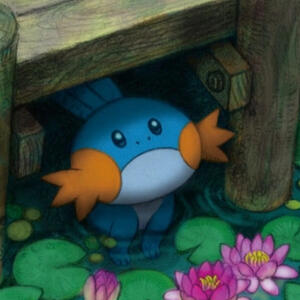 MUDKIP [Pokemon]