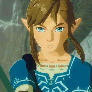 LINK [TheLegendofZelda]